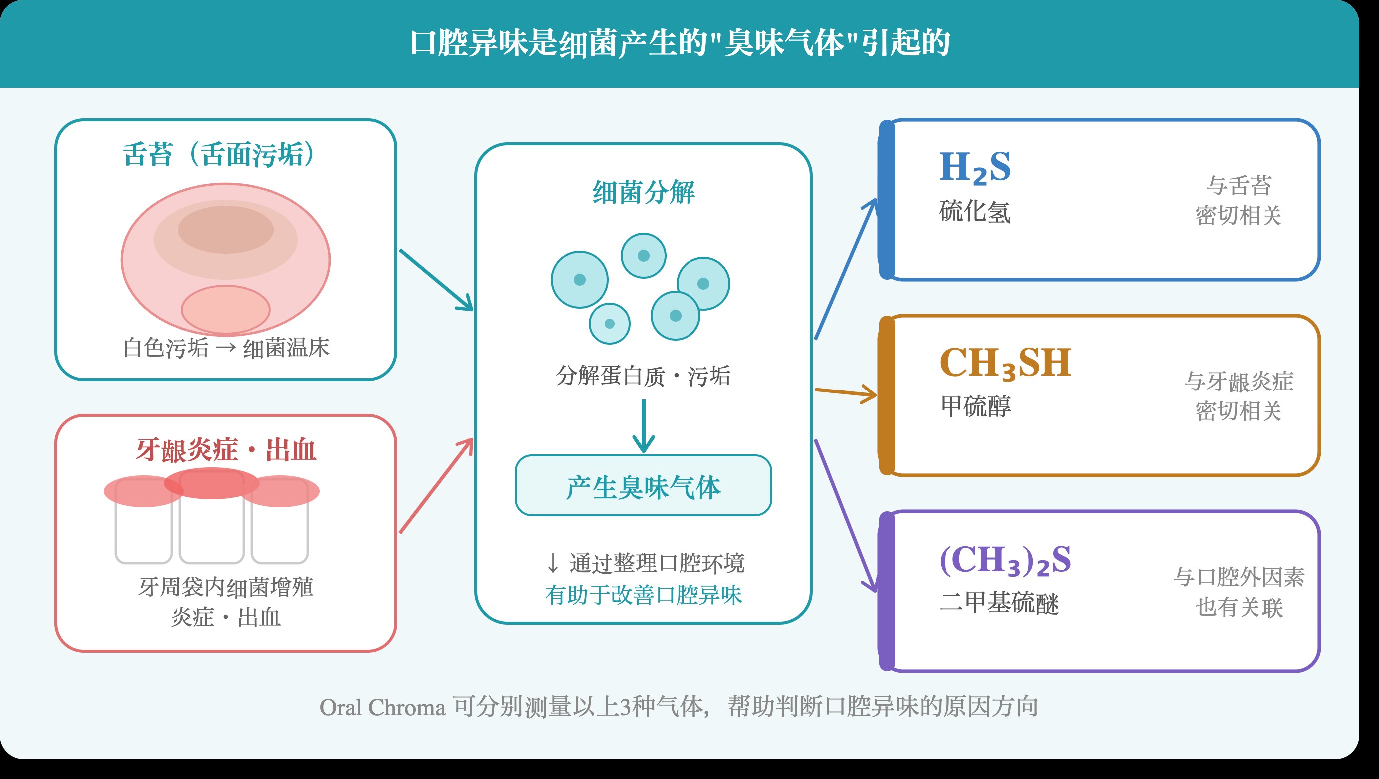 口腔异味原理示意图